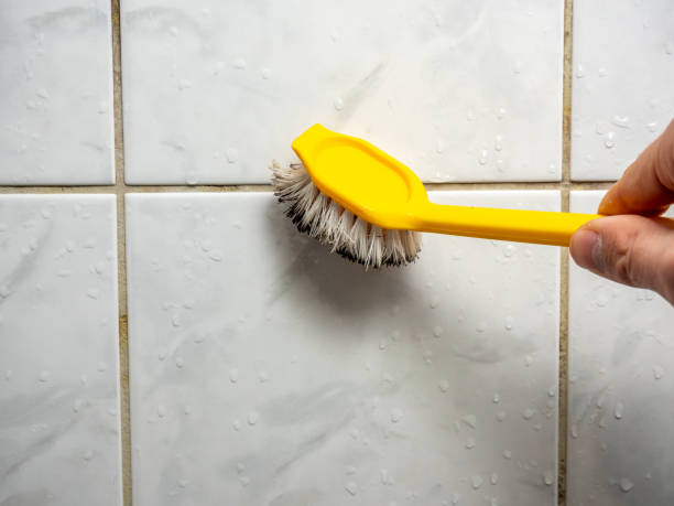 Office Mold Removal Services in Lowell, OR