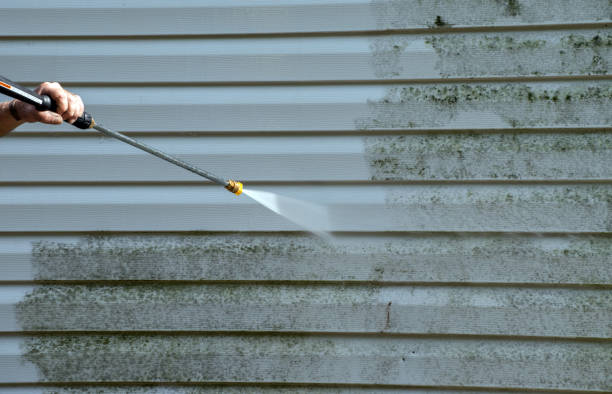 Best Mold Damage Repair  in Lowell, OR
