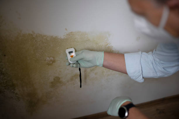 Best Certified Mold Removal  in Lowell, OR
