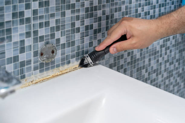 Best Toxic Mold Removal  in Lowell, OR