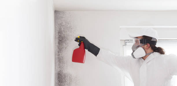 Best Certified Mold Removal  in Lowell, OR